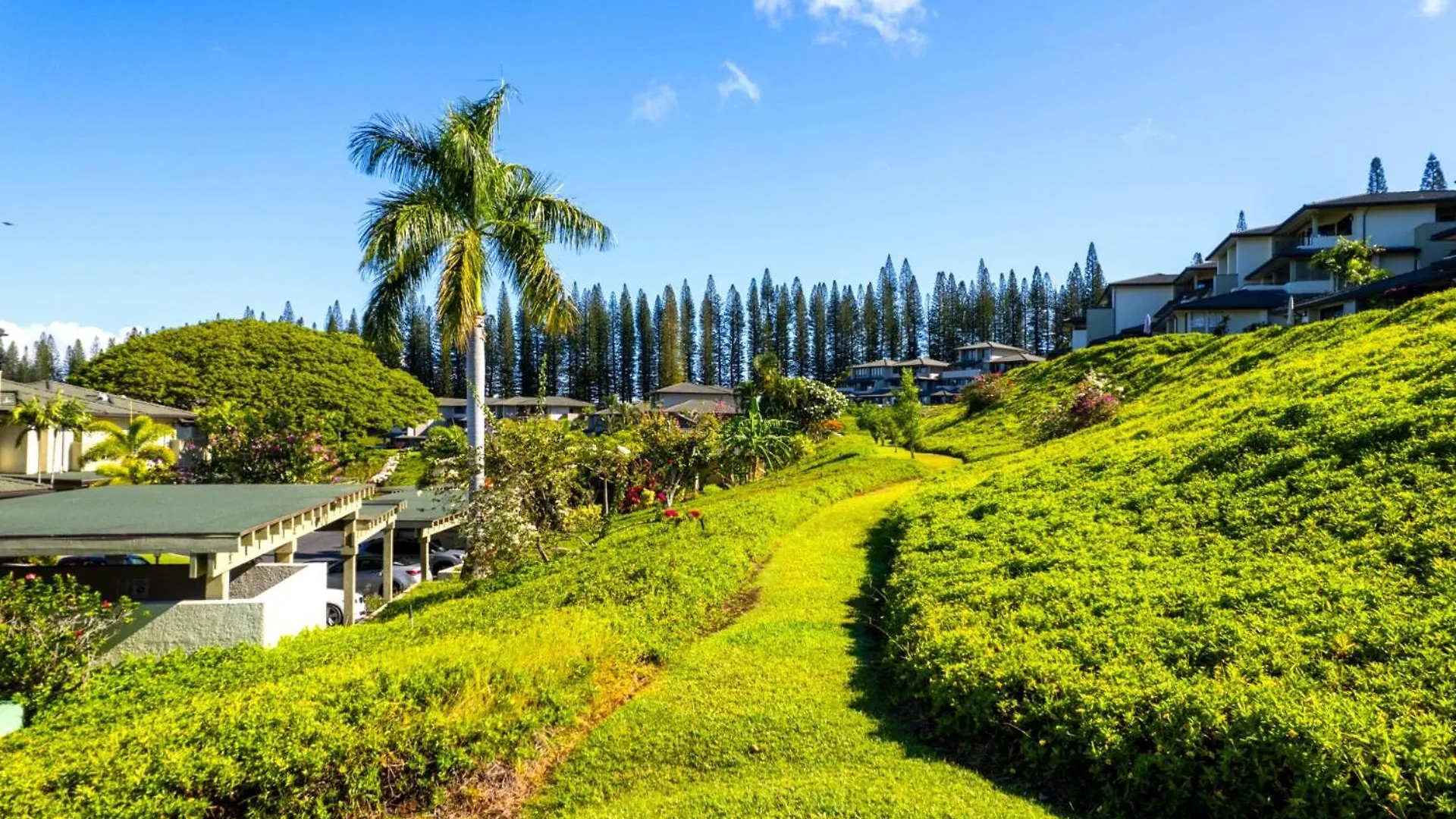 Apartamento Spacious 3-Bedroom Kapalua Golf Collection - Multi Unit Listing - Same Enclave - Golf Course Views - 2 Free Rental Cars Kgv-17P7V3